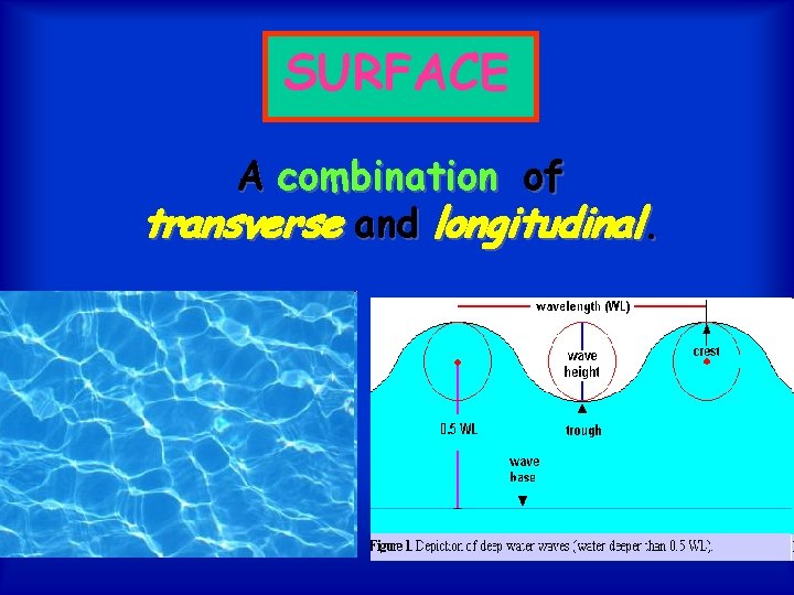 SURFACE A combination of transverse and longitudinal. 