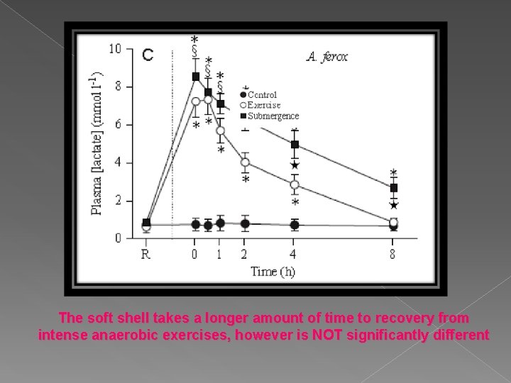 The soft shell takes a longer amount of time to recovery from intense anaerobic