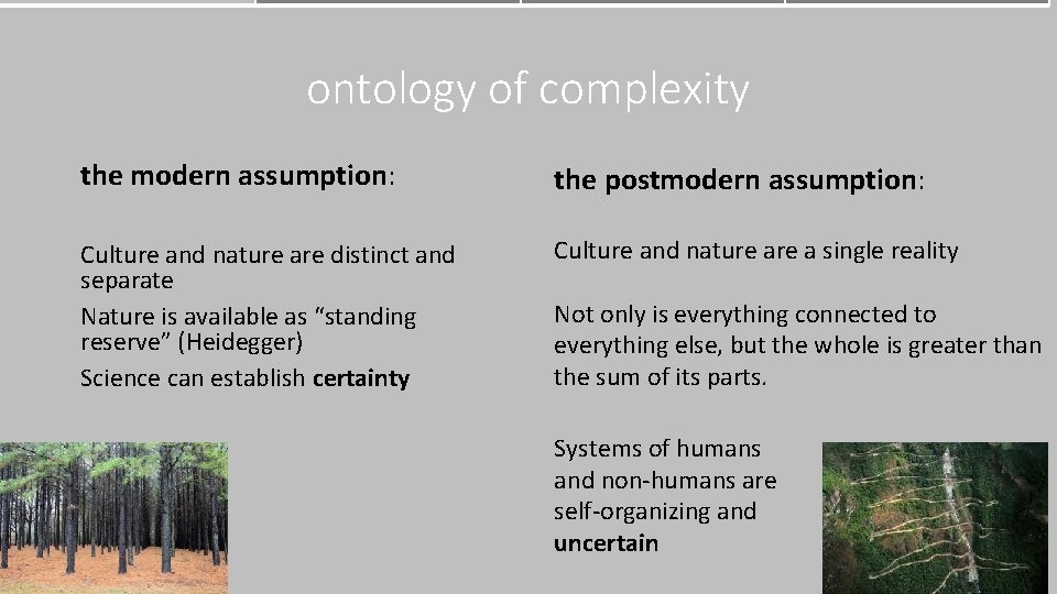 ontology of complexity the modern assumption: the postmodern assumption: Culture and nature are distinct