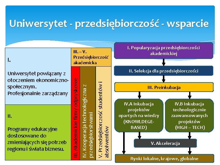 Uniwersytet - przedsiębiorczość - wsparcie Programy edukacyjne dostosowane do zmieniających się potrzeb regionu i