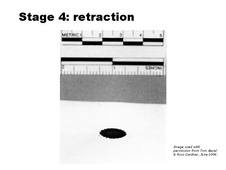 Stage 4: retraction Image used with permission from Tom Bevel & Ross Gardner, June