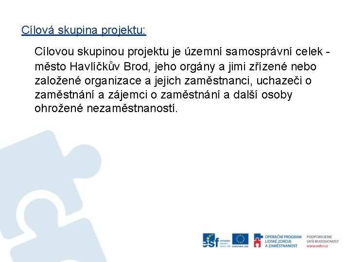 Cílová skupina projektu: Cílovou skupinou projektu je územní samosprávní celek město Havlíčkův Brod, jeho
