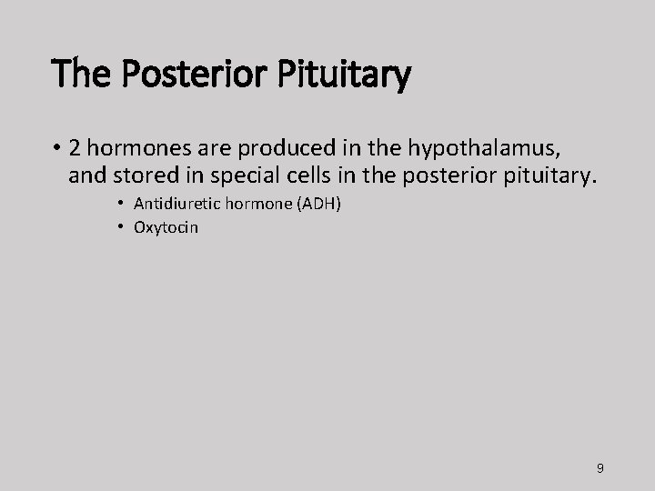 The Posterior Pituitary • 2 hormones are produced in the hypothalamus, and stored in