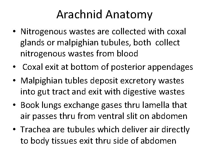 Arachnid Anatomy • Nitrogenous wastes are collected with coxal glands or malpighian tubules, both