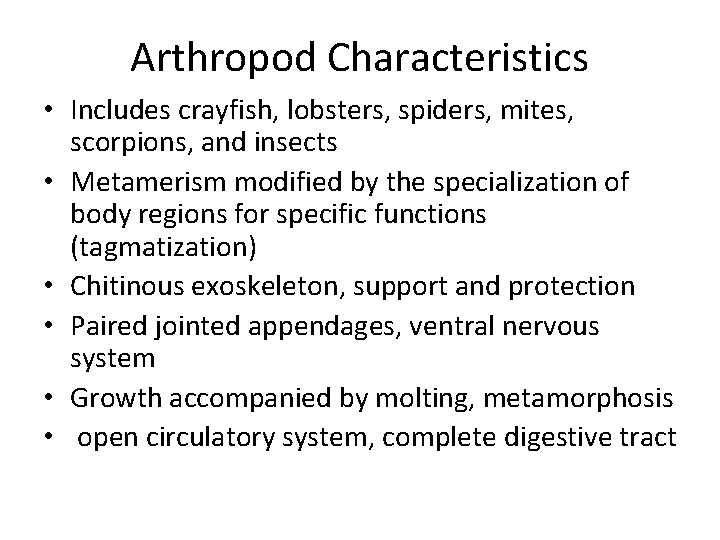 Arthropod Characteristics • Includes crayfish, lobsters, spiders, mites, scorpions, and insects • Metamerism modified