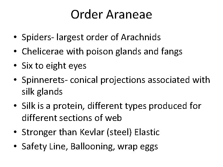 Order Araneae Spiders- largest order of Arachnids Chelicerae with poison glands and fangs Six