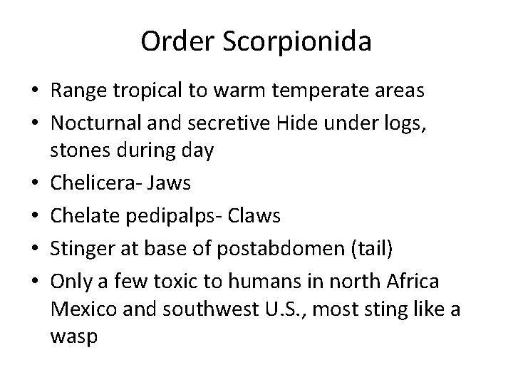 Order Scorpionida • Range tropical to warm temperate areas • Nocturnal and secretive Hide