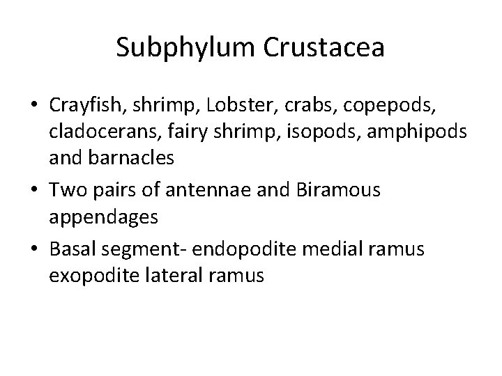 Subphylum Crustacea • Crayfish, shrimp, Lobster, crabs, copepods, cladocerans, fairy shrimp, isopods, amphipods and