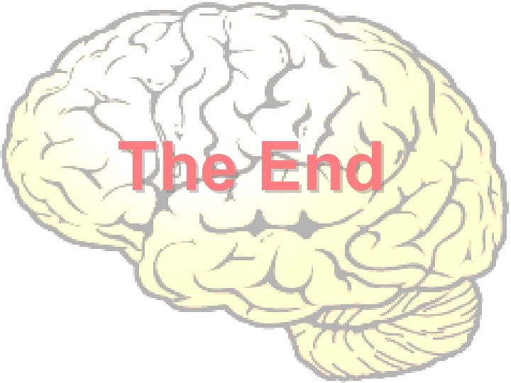 The End 