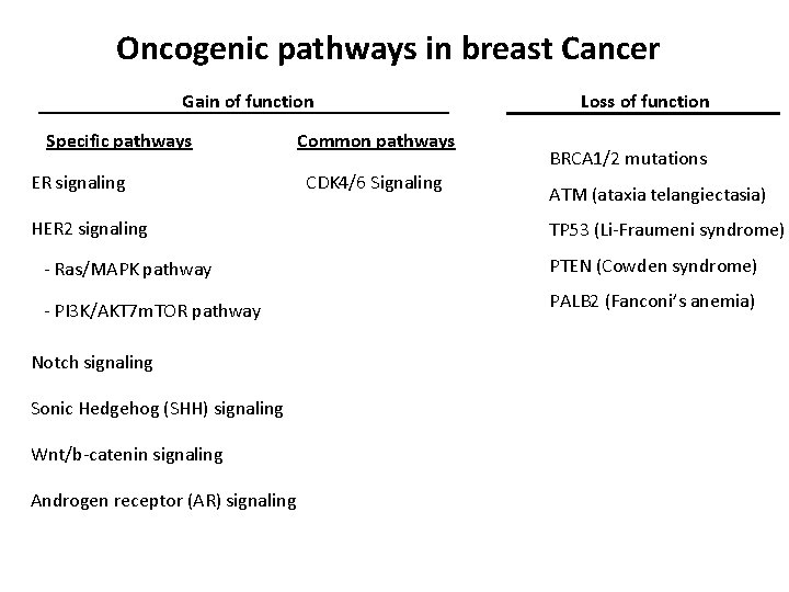 Oncogenic pathways in breast Cancer Gain of function Specific pathways ER signaling HER 2