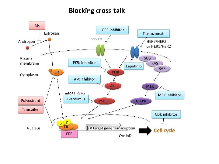 Blocking cross-talk 