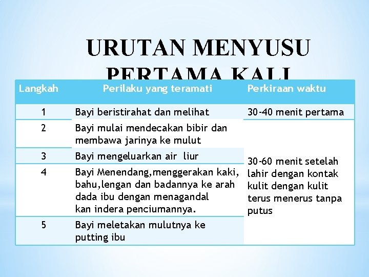 Langkah URUTAN MENYUSU PERTAMA KALI Perilaku yang teramati Perkiraan waktu 1 Bayi beristirahat dan