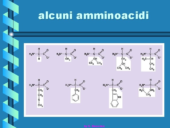 alcuni amminoacidi by S. Nocerino 