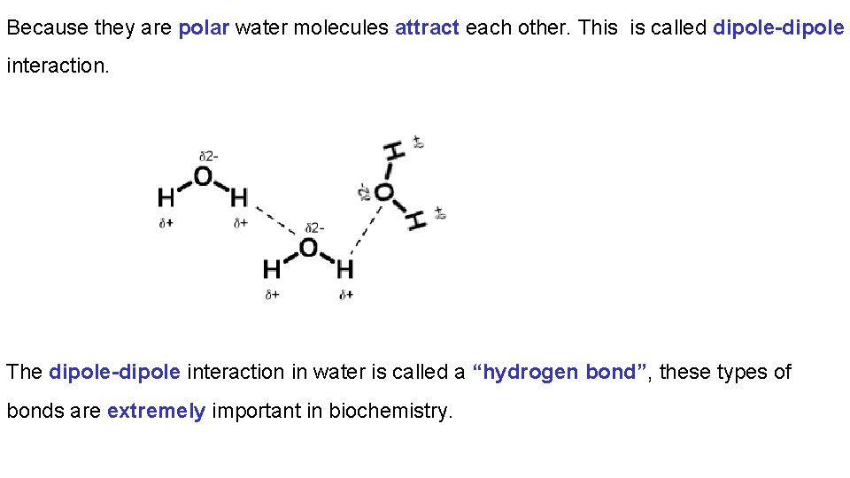 Because they are polar water molecules attract each other. This is called dipole-dipole interaction.