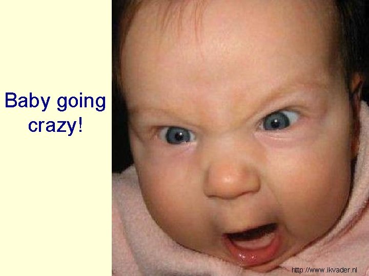 Baby going crazy! http: //www. ikvader. nl 