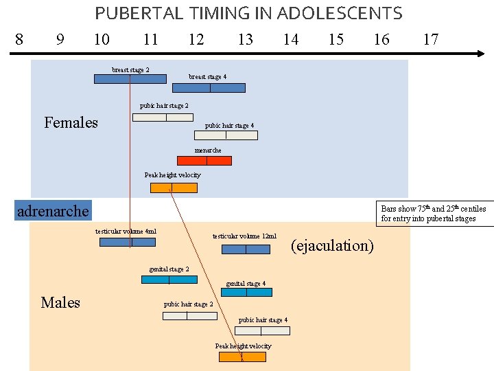 PUBERTAL TIMING IN ADOLESCENTS 8 9 10 11 12 breast stage 2 13 14