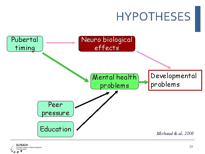 HYPOTHESES Pubertal timing Neuro biological effects Mental health problems Developmental problems Peer pressure Education