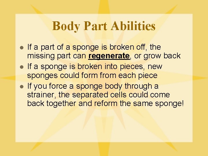 Body Part Abilities l l l If a part of a sponge is broken