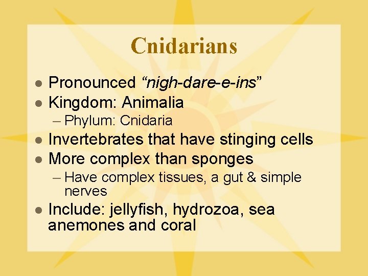 Cnidarians l l Pronounced “nigh-dare-e-ins” Kingdom: Animalia – Phylum: Cnidaria l l Invertebrates that
