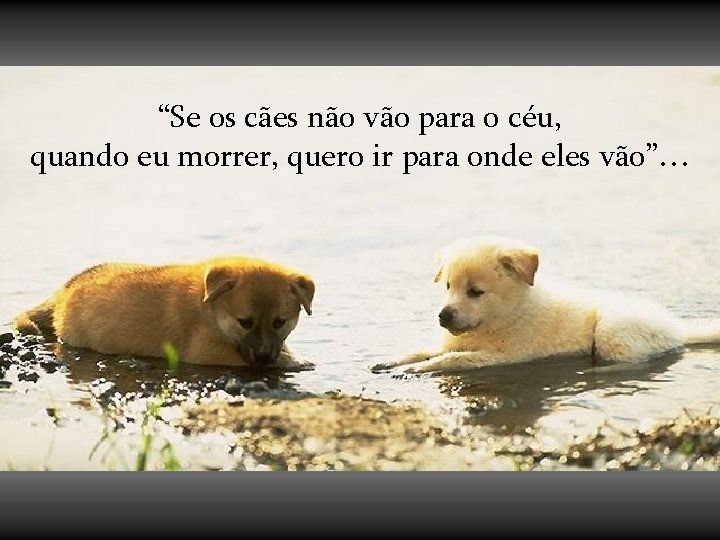 “Se os cães não vão para o céu, quando eu morrer, quero ir para