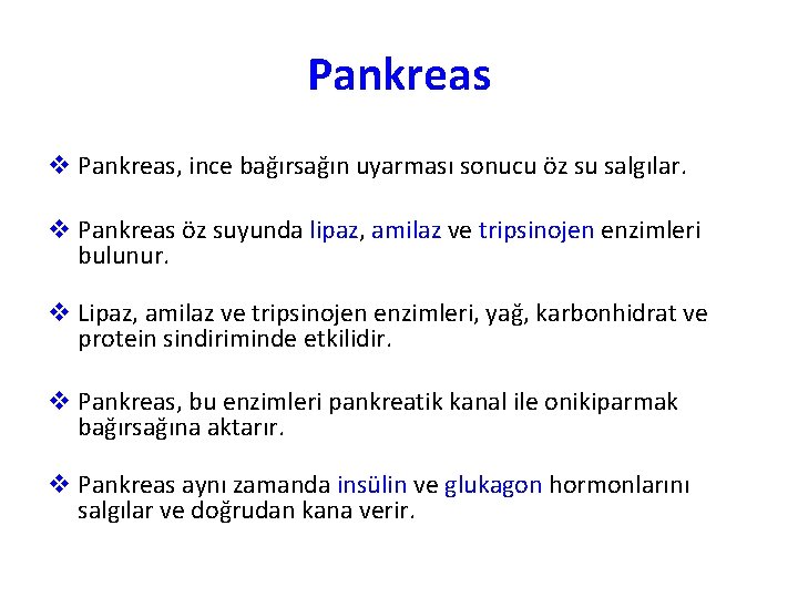 Pankreas v Pankreas, ince bağırsağın uyarması sonucu öz su salgılar. v Pankreas öz suyunda