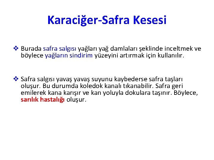 Karaciğer-Safra Kesesi v Burada safra salgısı yağları yağ damlaları şeklinde inceltmek ve böylece yağların