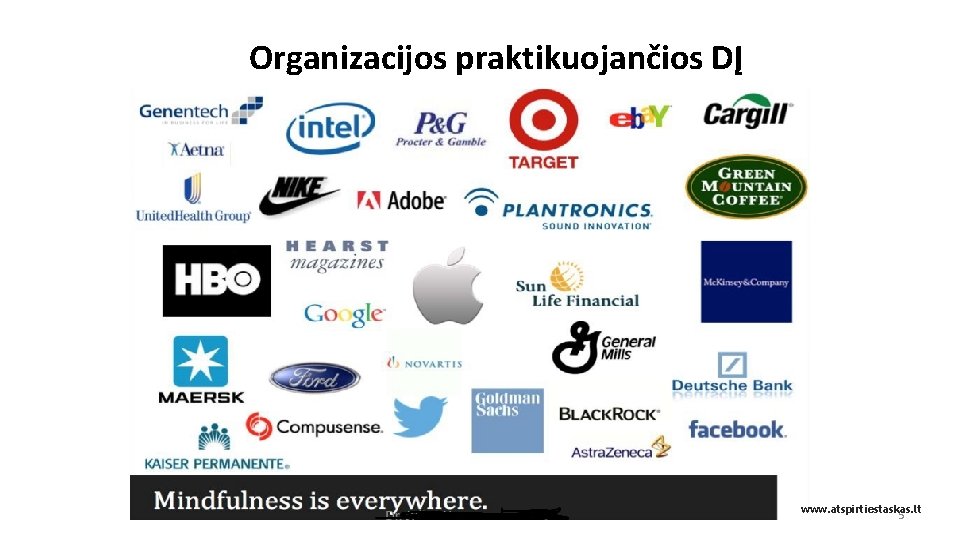 Organizacijos praktikuojančios DĮ www. atspirtiestaskas. lt 5 