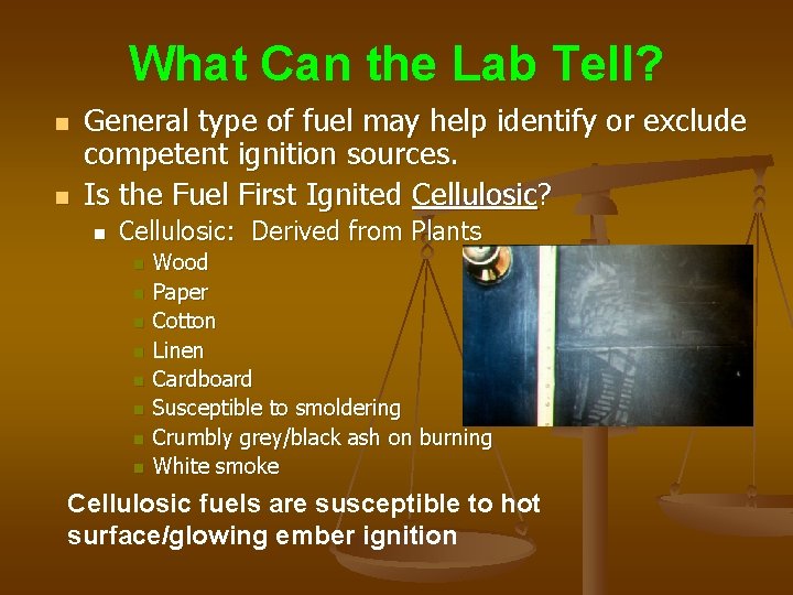 What Can the Lab Tell? n n General type of fuel may help identify