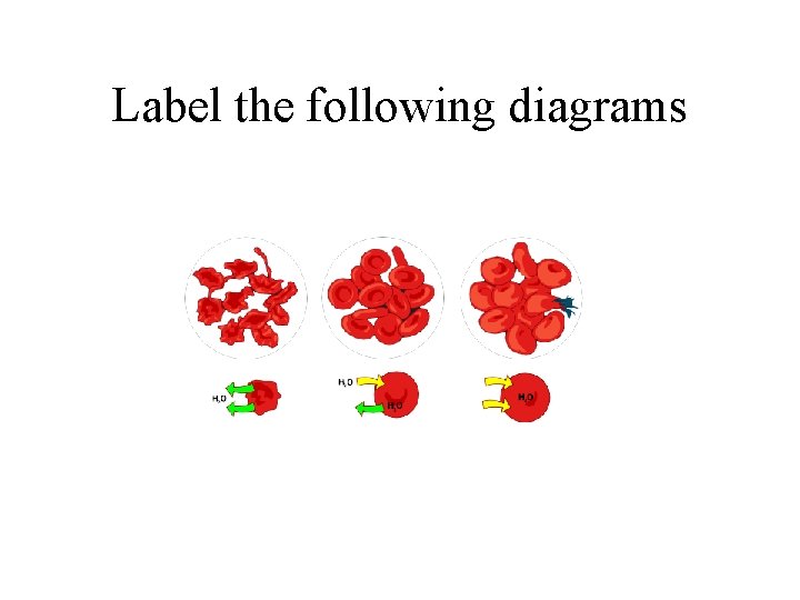 Label the following diagrams 