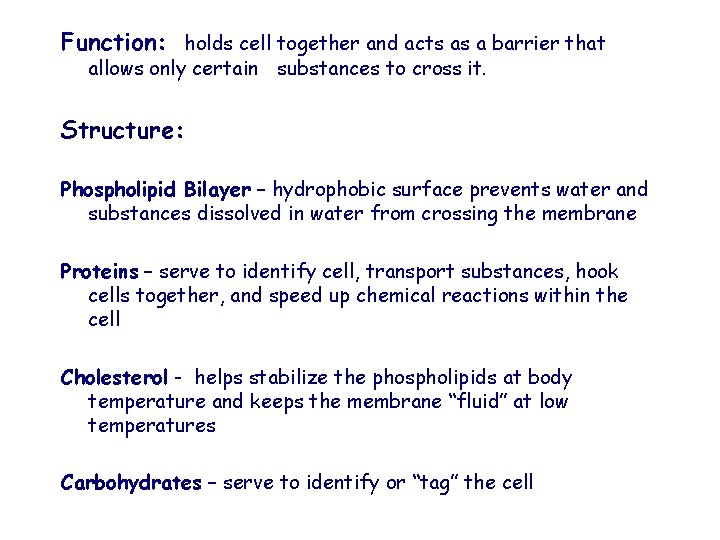 Function: holds cell together and acts as a barrier that allows only certain substances