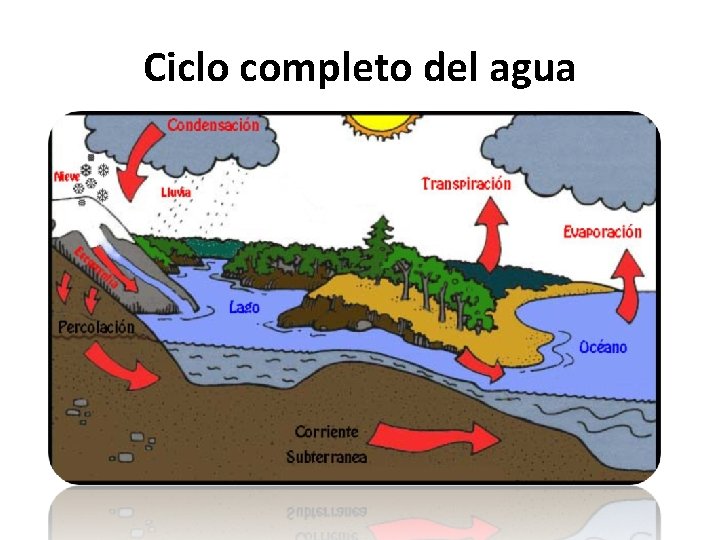 Ciclo completo del agua 