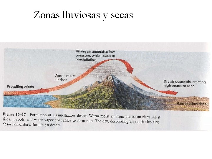 Zonas lluviosas y secas 