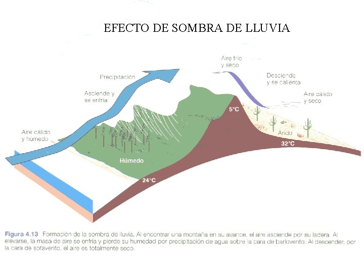 EFECTO DE SOMBRA DE LLUVIA 