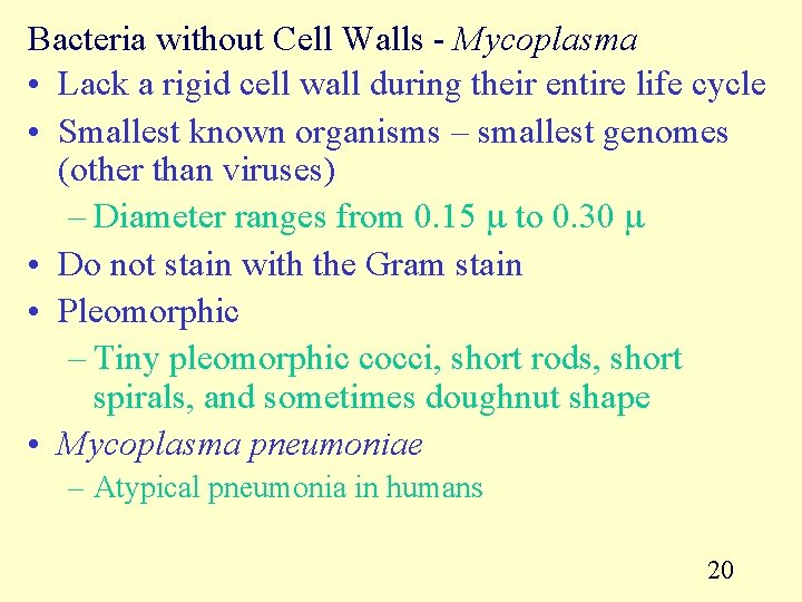 Bacteria without Cell Walls - Mycoplasma • Lack a rigid cell wall during their