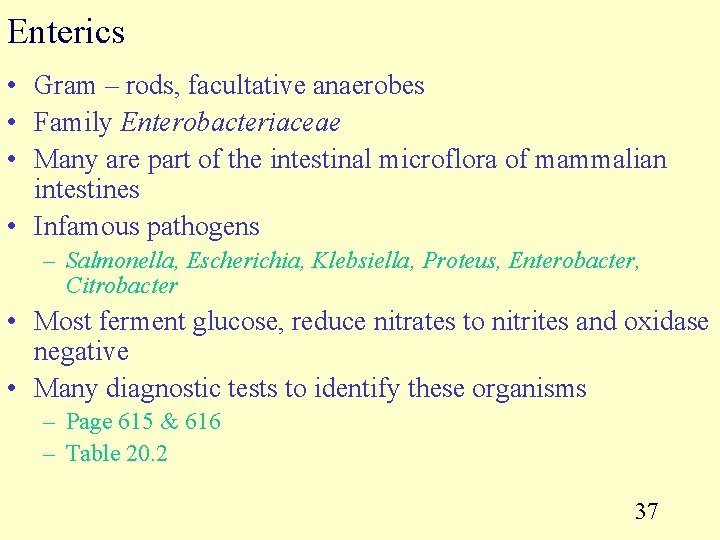 Enterics • Gram – rods, facultative anaerobes • Family Enterobacteriaceae • Many are part
