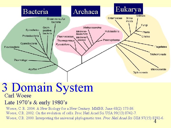 Bacteria Archaea Eukarya 3 Carl. Domain System Woese Late 1970’s & early 1980’s Woese,