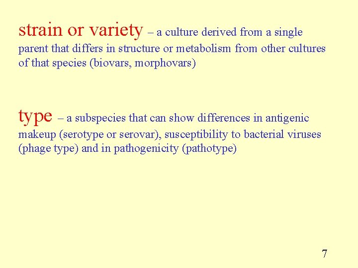 strain or variety – a culture derived from a single parent that differs in