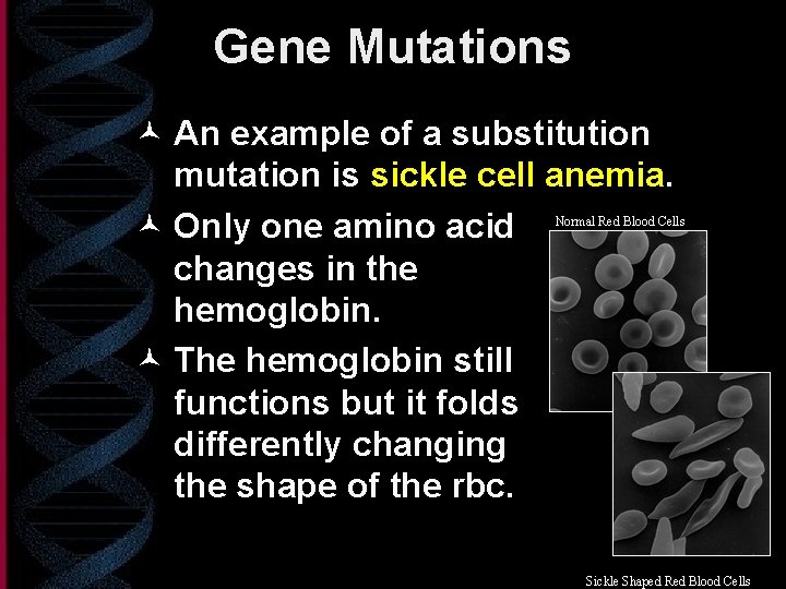 Gene Mutations © An example of a substitution mutation is sickle cell anemia. ©