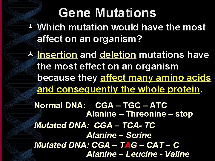 Gene Mutations © Which mutation would have the most affect on an organism? ©