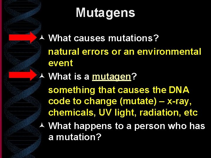 Mutagens © What causes mutations? natural errors or an environmental event © What is