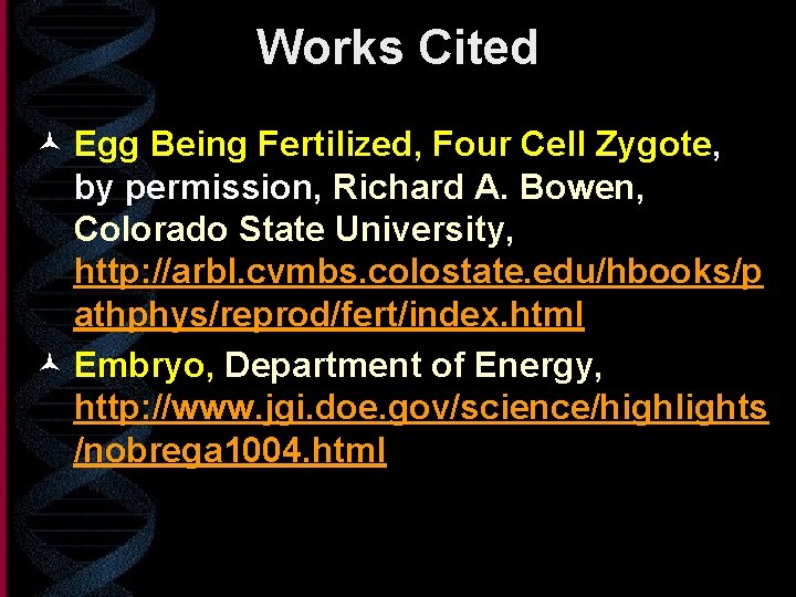 Works Cited © Egg Being Fertilized, Four Cell Zygote, by permission, Richard A. Bowen,
