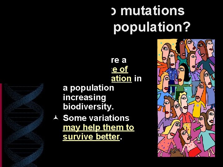How do mutations affect a population? © Mutations are a major source of genetic