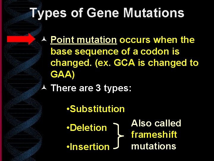 Types of Gene Mutations © Point mutation occurs when the base sequence of a