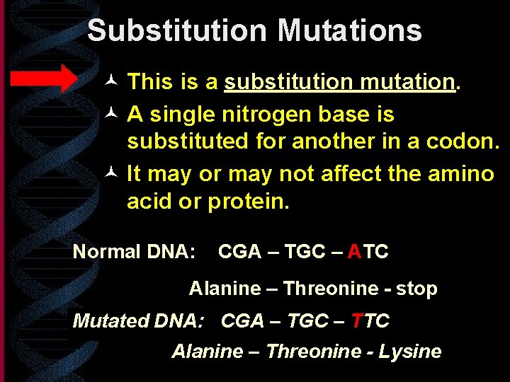 Substitution Mutations © This is a substitution mutation. © A single nitrogen base is
