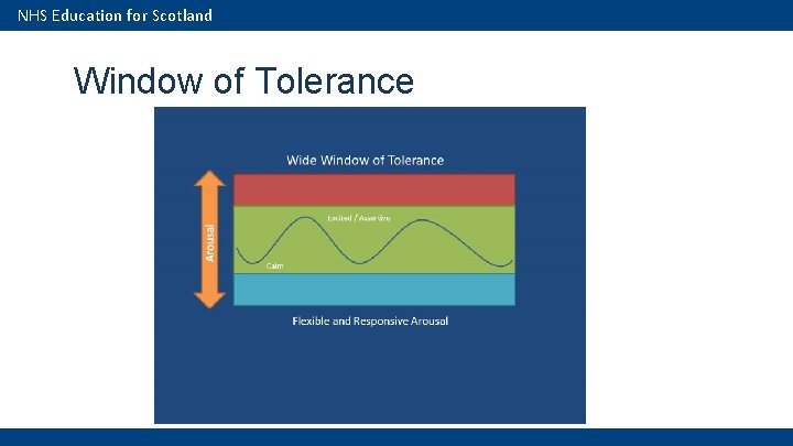 NHS Education for Scotland Window of Tolerance 