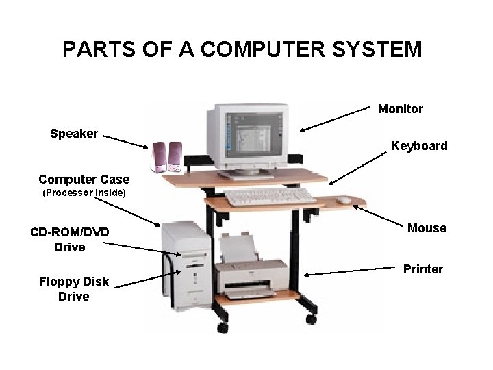 PARTS OF A COMPUTER SYSTEM Monitor Speaker Keyboard Computer Case (Processor inside) CD-ROM/DVD Drive