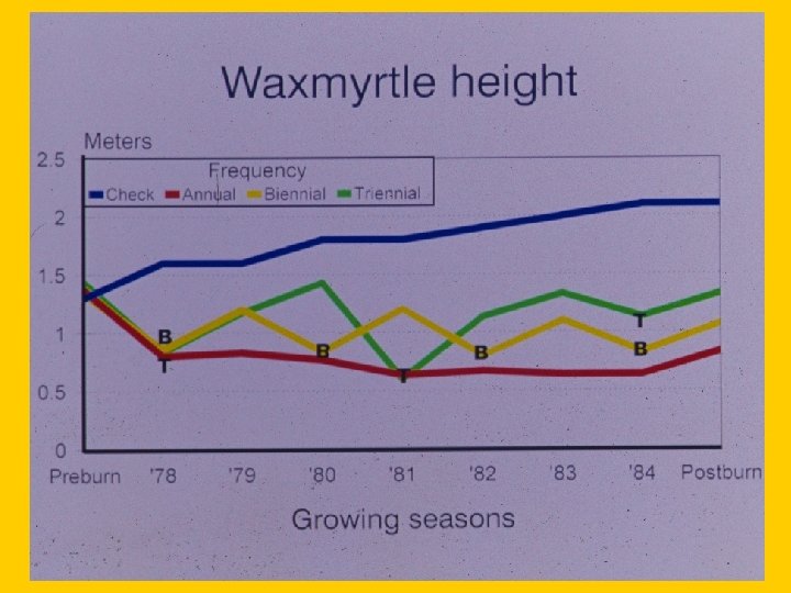 Slide 24 -Waxmyrtle graph 