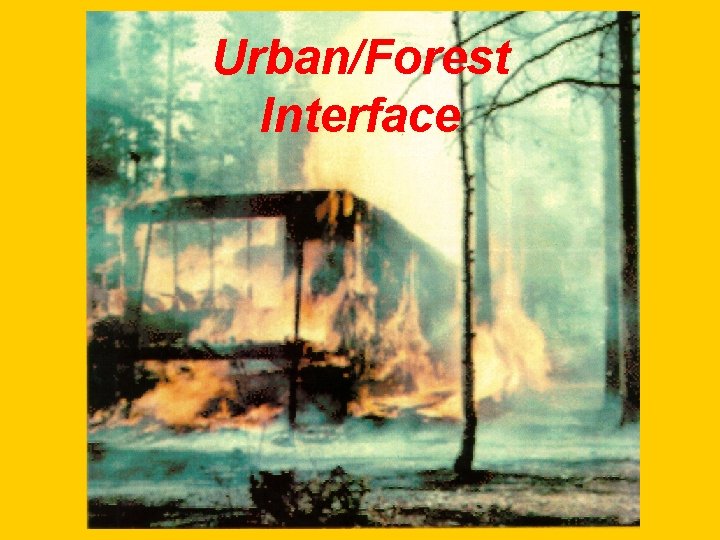 Urban/Forest Interface Slide 33 -Urban/Forest Interface 