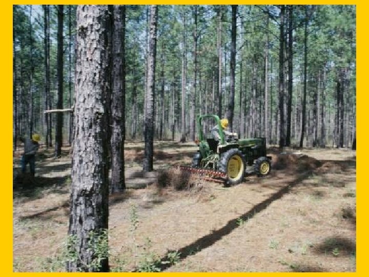 Slide 34 -Alternatives, pine straw mgt 