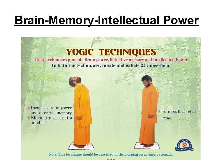 Brain-Memory-Intellectual Power 